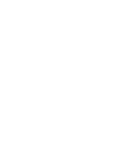 Ninja Grill